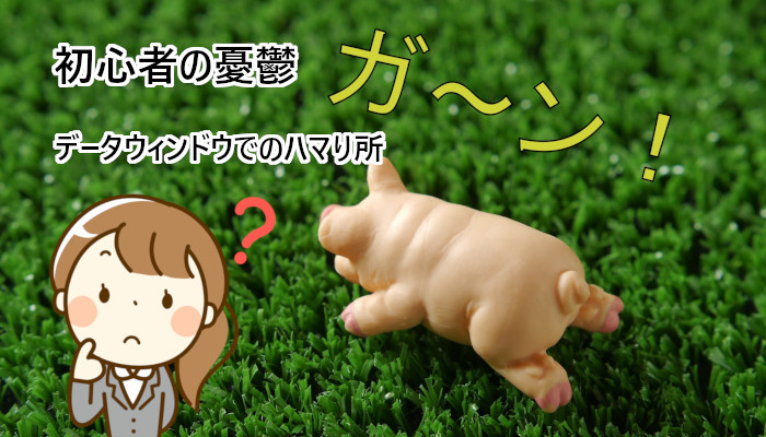 初心者の憂鬱：データウィンドウでのハマり所