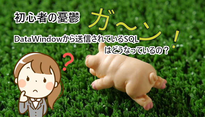 初心者の憂鬱